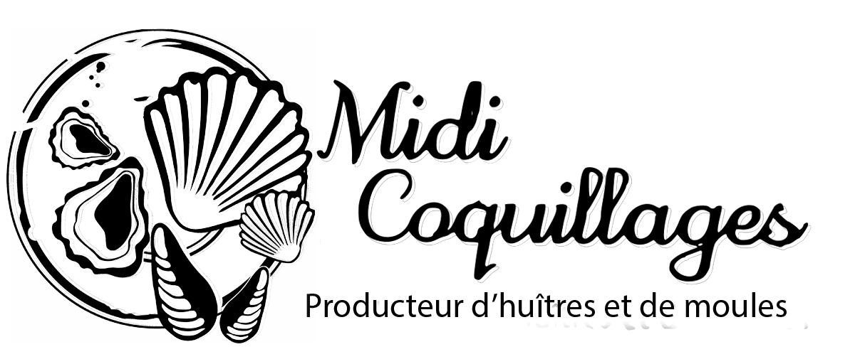 Logo Midi-Coquillages